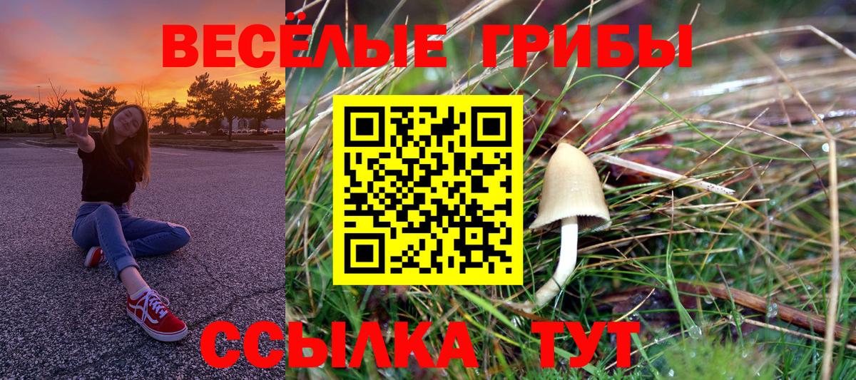 Озёры  ГАШИШ  Вход с VPN  Мефедрон   КОКАИН 