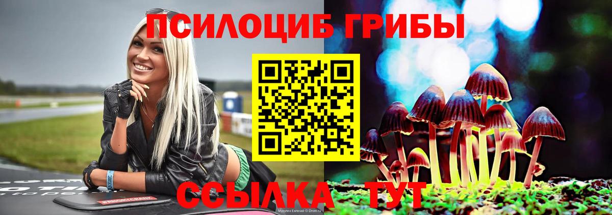 Галлюциногенные грибы Psilocybe  Вход с VPN  Озёры 